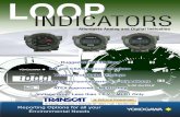 Yokogawa MLD Loop Indicators - Transcat · Reporting Options for all your . Environmental Needs. Rugged NEMA 4X Case. FM and CSA Approved Versions Analog and Digital Displays. Wall