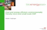 Cost and Energy Efficient, Environmentally Friendly Micro ......Cost and energy efficient, environmentally friendly micro and small scale CHP Walter Haslinger . ... (ORC, EF-MGT, gasification+IC,…)