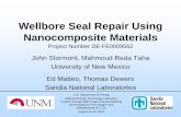 Wellbore Seal Repair Using Nanocomposite Materials · nanocomposite seal repair materials suitable for expected wellbore environments that have high bond strength to casing and cement,