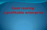 Goat rearing-a profitable enterprise · 2017-01-24 · kidded(delivered) at an average of 2 kids/goat at a time. So that farmer can get totally 40 kids. out of these 40 kids(20 male