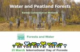 Water and Peatland Forests - Ramsar...Forests and Water Water and Peatland Forests Ramsar Convention on Wetlands Tobias Salathé (incl. information by Hans Joosten, Greifswald Mire