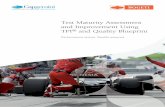 Test Maturity Assessment and Improvement Using …...Test Maturity Assessment and Improvement using TPI® and Quality Blueprint 3 Many organizations lack sufficient insight into the