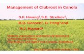 Management of Clubroot in Canola · Management of Clubroot S.F. Hwang 1,S.E. Strelkov B.D. Gossen 3 R.J. Howard 1 1Alberta Agriculture and Rural Development 2University of Alberta
