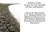 Oyster reefs - NOAA Office for Coastal Management...Oyster reefs: A key to the health of our estuaries. Louis D. Heyward S.C. Department of Natural Resources ACE Basin National Estuarine