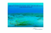 SUSTAINABLE DEVELOPMENT MANUALS RESTORATION OF SEAGRASS · PDF file 2020-01-05 · Restoration of seagrass meadows 4 Legislation The conservation, protection and improvement of the