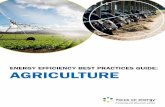 ENERGY EFFICIENCY BEST PRACTICES GUIDE: AGRICULTURE · the Agricultural Energy Efficiency Best Practices Guide is to provide Wisconsin’s WHAT’S INSIDE agriculture community with