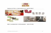 INDUSTRY CAPABILITY REPORT · 2020-02-13 · Tableware & kitchenware are Japan, USA, India, UAE and UK. Main export markets for floor/ roof tiles are Australia, U.S.A., Maldives,