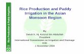 Rice Production and Paddy Rice Production & Paddy ...• Rice Farming • The Challenges ... % per yr vs 2.2 % during past 30 years ... PADDY YIELDS ton/ha Extensive farming Intensive