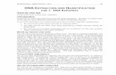 DNA EXTRACTION AND QUANTIFICATION - UMass Amherstwahoo.nsm.umass.edu/.../2014-biobootcamp-dna-protocol.pdf · 2018-10-30 · Bio Boot Camp – UMass Amherst - 2014 55 DNA EXTRACTION