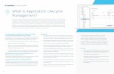 What Is Application Lifecycle Management?...Application Lifecycle Management (ALM) integral to the platform. ALM enables you to effectively manage the development, testing, deployment,