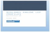 MIDLANDS ENGINE LEP PROFILES · Web viewWorcester LEP is the second smallest LEP within the Midlands Engine at 174,051 hectares. It also has the smallest population of the Midlands