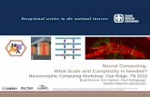 Neural Computing: What Scale and Complexity is Needed?ornlcda.github.io/neuromorphic2016/presentations/Aimone... · 2016-09-13 · Coding Sparse Coding Adaptive Coding DPUs ReRAM