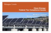 Clean Energy: Federal Tax Compliance Issues Marketing...Clean Energy: Federal Tax Compliance Issues Wendy C. Unglaub Morgan, Lewis & Bockius LLP WendyMarch 26, 2010 C. Unglaub Morgan