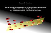 Thin sulfonated poly(ether ether ketone) films for the dehydration … · Introduction 3 heating to high temperatures (up to 600 °C for full regeneration), which corresponds to high