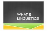 What is Linguistics? · theoretical linguistics involves the systematic and analytical study of: speech sounds, words, sentences, meaning, and discourse, and how they evolve over