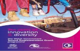 Ten years of innovation & diversity general/CIH Teg Report E...Contents 1. Introduction Keith Edwards, Director CIH Cymru 2. Innovation and diversity The TEG programme 2003 to 2013