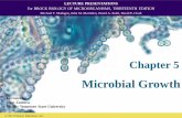 Chapter 5 - Marmara Üniversitesimimoza.marmara.edu.tr/~deniz.tufan/ENVE3003/LECTURE5.pdfLECTURE PRESENTATIONS For BROCK BIOLOGY OF MICROORGANISMS, THIRTEENTH EDITION Michael T. Madigan,