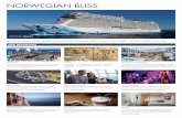 NORWEGIAN BLISS - ncl.com Bliss Ship Fact Flyer.pdfBliss Theater Enjoy and evening of laughter and entertainment in the Bliss Theater. Seating capacity: 907 Sugarcane Mojito Bar Enjoy