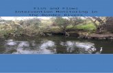 Fish and Flows Intervention Monitoring in the …€¦ · Web viewAdditional State-based projects evaluating flow related responses of ecological assets in the Border Rivers valley