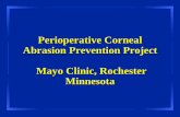 Perioperative Corneal Abrasion Prevention Project Mayo Clinic, …download.lww.com/wolterskluwer_vitalstream_com/PermaLink/... · 2011-01-11 · What is the Perioperative Corneal