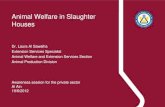 Animal Welfare in Slaughter Houses - ADFCA · 2014-08-17 · Animal Welfare in Slaughter house High stress levels before slaughter have a negative effect on meat quality, resulting