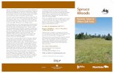 Spruce Woods - Province of ManitobaÉpinette, Seton & Yellow Quill Trails Spruce Woods Provincial Park Trail Tips The backcountry trails vary in difficulty and in length. To make the