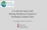 It is Not the Same Nail - Restore America's Estuaries · 2019-01-15 · revitalization of both ecosystem and public health,. ... “Sandy” Cities Based on Socioecological Systems