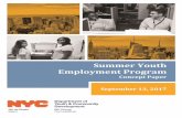 Summer Youth Employment ProgramSummer Youth Employment Program (SYEP): one for community-based programs, a second for special initiative programs, and a third for school-based programs.