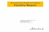 2009 Fatality Report: Worker Crushed by Oilwell Pumpjack’s ... · 14-05-2009  · 5.2.2 Pumpjacks are the above-ground drives for a reciprocating piston pump installed in an oilwell.
