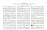 A REpORTER AT LARgE THE iNTELLigENT pLANT · 2017-08-15 · 92 THE NEW YORKER, DECEMBER 23 & 30, 2013 TNY—2013_12_23&30—PAGE 92—133SC. BW A REpORTER AT LARgE THE iNTELLigENT