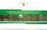 FOREST PLANTATIONS AND WOODLOTS IN UGANDAafforum.org/sites/default/files/English/English_17.pdfFOREST PLANTATIONS AND WOODLOTS IN . UGANDA . by . Prof. John Kaboggoza . December 2011.
