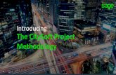 Introducing The CitySoft Project Methodology...RICEFW • Reports • Interfaces & Integrations • Configurations • Enhancements • Forms • Workflows Track My Project CitySoft