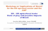 Workshop on ‘Implications of ‘Brexit’ for the EU agri … Trade_EN.pdfpart 1. 19 agri-food sectors (+ 14 manufacturing and 8 services) UK, 11 countries or groups in the EU27,