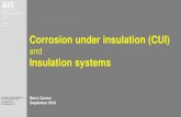 Corrosion under insulation (CUI) · Corrosion Under Insulation (CUI) 6. Four principles for insulation selection relating to CUI Water ingress cannot be avoided and will occur under