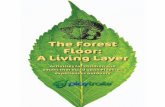 The Forest Floor: A Living Layer - GameTime · 2020-02-10 · The Forest Floor: A Living Layer Activities for children and adults that build upon PlayTrail experiences outdoors Getting
