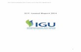 IGU Annual Report 2014members.igu.org/old/about-igu/annual/annual-report-2014.pdf(GIIGNL), European LNG terminal capacity-holders organisation, which is the branch within Gas Infrastructure