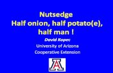 Nutsedge Half onion, half potato(e), half man 2017... · 2017-11-06 · 3. Corms or tubers (potato-e) YELLOW: small, round, “BB” like, light color, no odor, edible, born on single