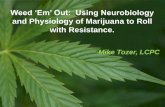 Weed ‘Em’ Out: Using Neurobiology crawl 2014 physiology.pdfPotency • In the 70’s marijuana was lower grade -1-3%. Today the marijuana is mainly from Mexico, Columbia and domestic.
