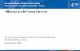 Influenza and Influenza Vaccines · 2019-09-25 · Number of influenza-associated deaths varies substantially by year, influenza virus type and subtype, and age group Annual influenza-associated