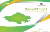 Rajasthan CSR Report 2019 1 · Hindustan Zinc Ltd. 15.77 Khushii Project Hindustan Zinc Limited's project focuses on supporting the government in improving the functioning of the