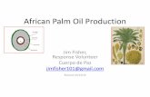African Palm Oil Production - madfisher.info€¦ · –Where to you get seeds? • We buy our seeds in Santa Marta. –How do you plant the seeds? • We plant in plastic bags. We