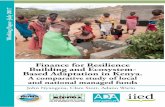 Finance for Resilience Building and Ecosystem- …pubs.iied.org/pdfs/G04189.pdf1 adaconsortium.org Finance for Resilience Building Working Paper -July 2017 Finance for Resilience Building
