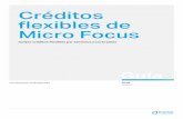 Créditos flexibles de Micro Focus · 2019-06-10 · Guía Crditos exibles de Micro Focus 2 Introducción a los créditos flexibles Los créditos flexibles son una moneda para el