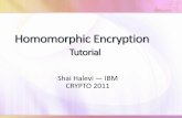 Shai Halevi ― IM CRYPTO 2011ryptosystems from *G09, vDGHV10, G11a+ cannot handle their own decryption Tricks to ^squash the decryption procedure, making it low-degree Nontrivial,