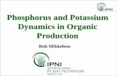 Phosphorus and Potassium Dynamics in Organic Productioncemonterey.ucanr.edu/files/298555.pdf · The Essential Role of Phosphorus Nitrogen Potassium Of the three “primary” plant