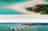DHIGALI MALDIVES...The Dhigali Suite is a 400m2 and set on the edge of the beach with its very own courtyard. With its modern amenities, large open decks and the open-air bathroom,