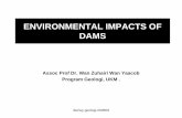 ENVIRONMENTAL IMPACTS OF DAMSpkukmweb.ukm.my/zuhairi/Pengajaran/intranet/stag3042/...dwzwy-geologi-200809 Diagrammatic sequence of impacts A –upstream siltation that buries town