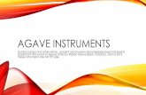 AGAVE INSTRUMENTS · 2019-07-27 · AGAVE INSTRUMENTS Guitars, banjos and other ethnic, ancient and modern strummed/plucked instruments made from the wood of Agave stalks by Robert