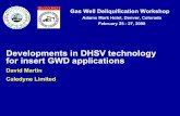 Developments in DHSV technology for insert GWD …...Gas Well Deliquification Workshop Adams Mark Hotel, Denver, Colorado February 25 - 27, 2008 Developments in DHSV technology for