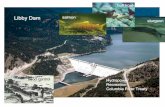 Libby Dam · Libby Dam Hydropower Recreation Columbia River Treaty bull trout salmon flood control. HUNGRY HORSE Hydropower Flows, Temperatures Bull Trout Salmon Recreation Flood
